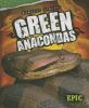 Green anacondas