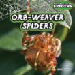 Orb-weaver spiders