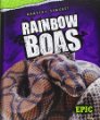 Rainbow boas