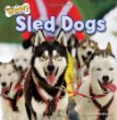 Sled dogs