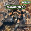 Tarantulas