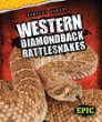 Western diamondback rattlesnakes