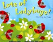 Lots of ladybugs! : counting by fives