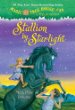 Stallion by starlight
