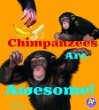 Chimpanzees are awesome!