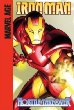 Iron Man : hostile takeover