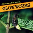 Glowworms