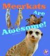 Meerkats are awesome!