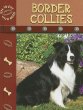 Border collies