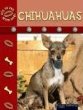 Chihuahuas