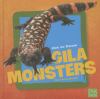 Get to know Gila monsters