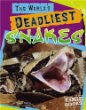 The world's deadliest snakes