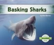 Basking sharks