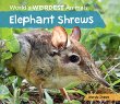 Elephant shrews