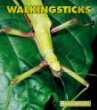 Walkingsticks