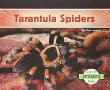Tarantula spiders