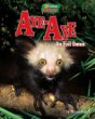 Aye-aye : an evil omen