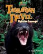 Tasmanian devil : nighttime scavenger