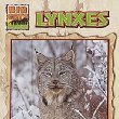 Lynxes