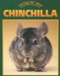 Caring for your chinchilla