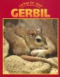 Caring for your gerbil