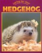 Caring for your hedgehog