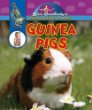 Guinea pigs