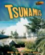 Tsunamis