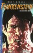 Frankenstein : the graphic novel