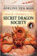 Chinese Cinderella and the Secret Dragon Society