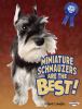 Miniature schnauzers are the best!