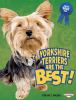 Yorkshire terriers are the best!