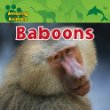 Baboons