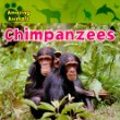 Chimpanzees