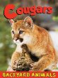 Cougars