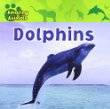 Dolphins