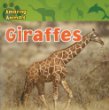 Giraffes