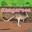 Kangaroos