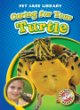 Caring for your turtle