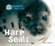 Harp seals : animals of the snow and ice