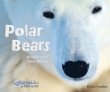 Polar bears : hunters of the snow and ice