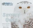 Snowy owls : hunters of the snow and ice