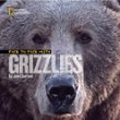 Face to face with grizzlies
