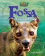 Fossa : a fearsome predator