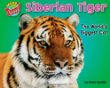 Siberian tiger : the world's biggest cat