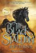 Black stallion returns