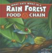 What eats what in a rain forest food chain