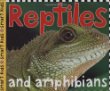 Reptiles and amphibians