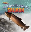 The bizarre life cycle of a salmon