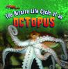 The bizarre life cycle of an octopus